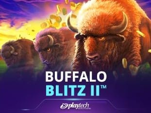 Buffalo Blitz Ii™ screenshot